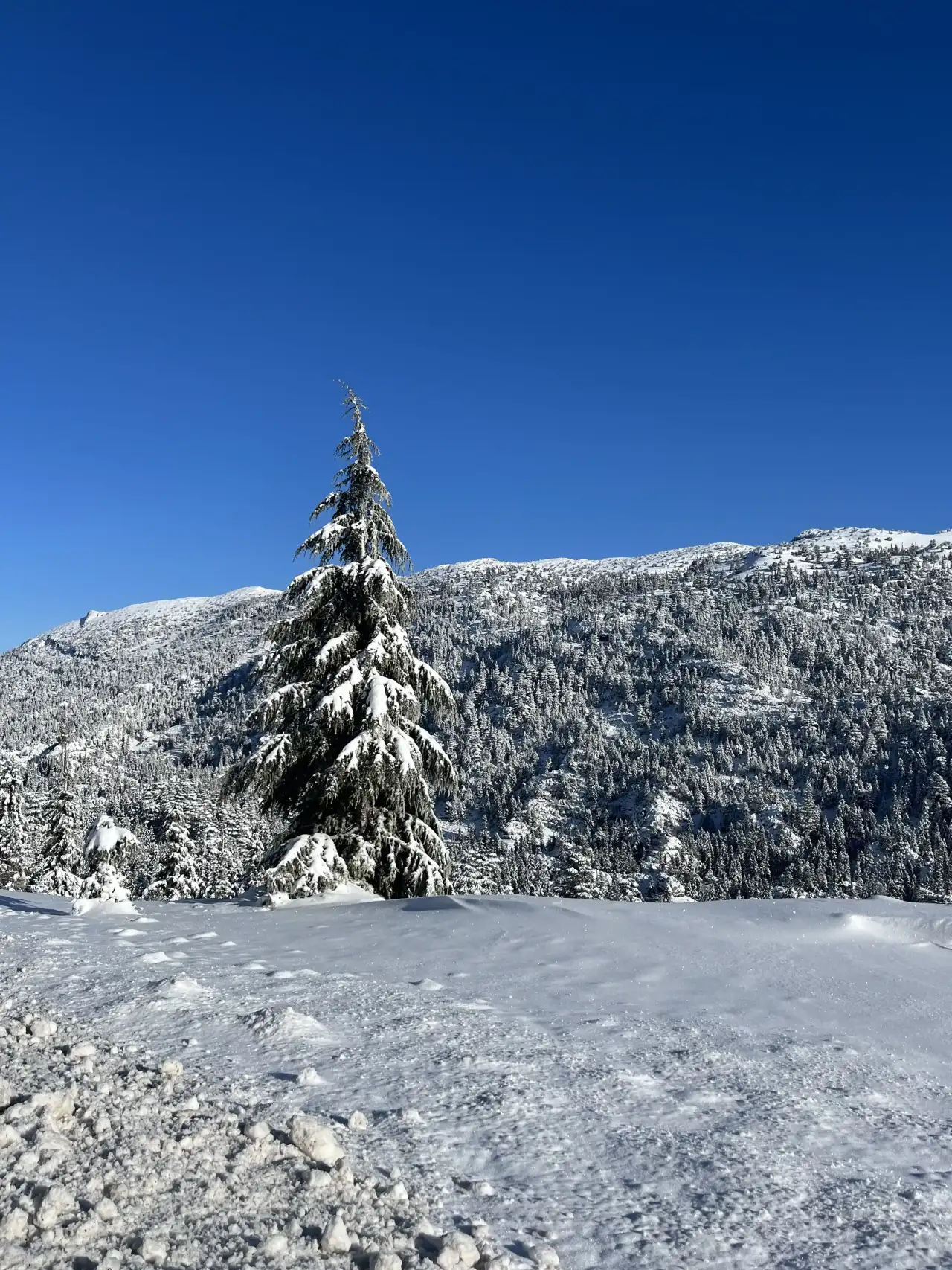 Antalya’da Kar Sonrası Kartpostallık Manzara 2